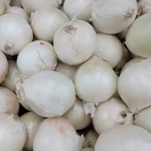 Cebolla blanca de primera calidad